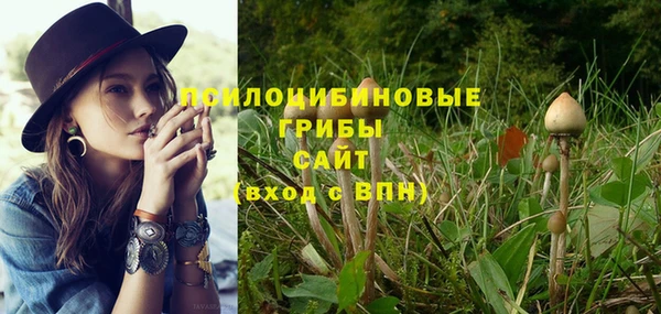 СК Медногорск