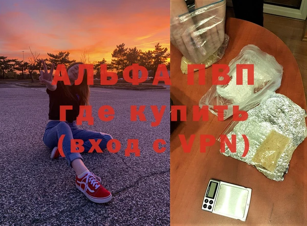 СК Медногорск