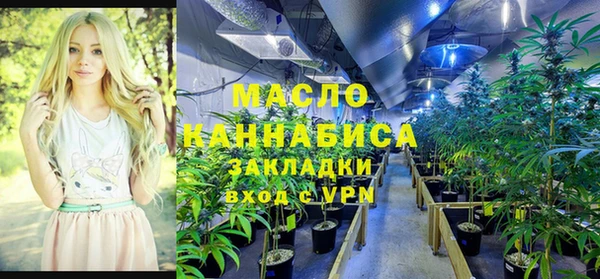 СК Медногорск