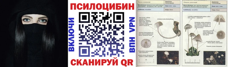 цены   Чёрмоз  blacksprut ONION  Псилоцибиновые грибы GOLDEN TEACHER 